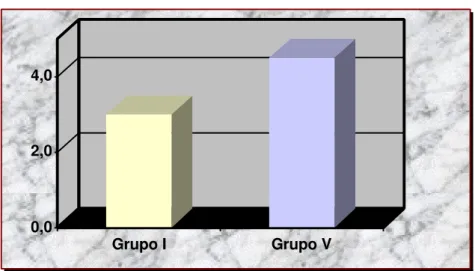 Figura 10 - Representação dos Grupos I  X  V. 