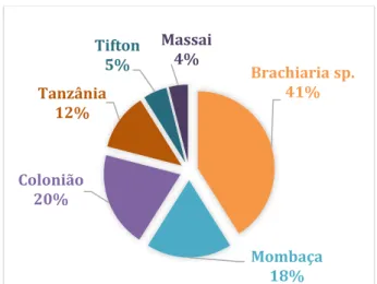 Gráfico  2:  Forrageiras  mais  utilizadas  no  município  de Ilha Solteira, SP. 