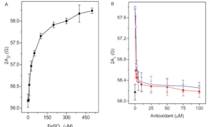 Figure 7. A, FeSO 4 concentration dependence of the EPR parameter 2A // of the spin label 5-DSA in erythrocyte ghost membranes