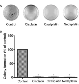 Figure 2. Effect of 1 mg/mL cisplatin, 8 mg/mL oxaliplatin, and 8 mg/mL nedaplatin on SKOV-3 cells in clonogenic assay