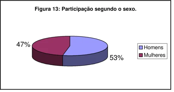 Figura 13: Participação segundo o sexo.