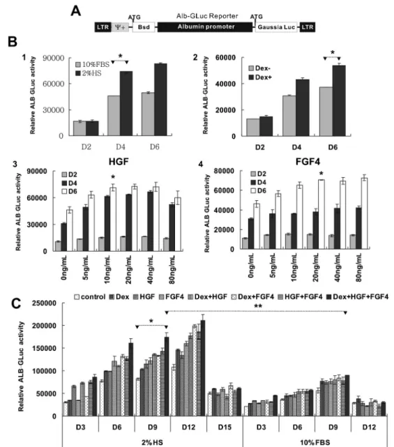 Figure 1. Effect of different induction factors on albumin promoter-driven Gaussian luciferase (ALB-GLuc) activity