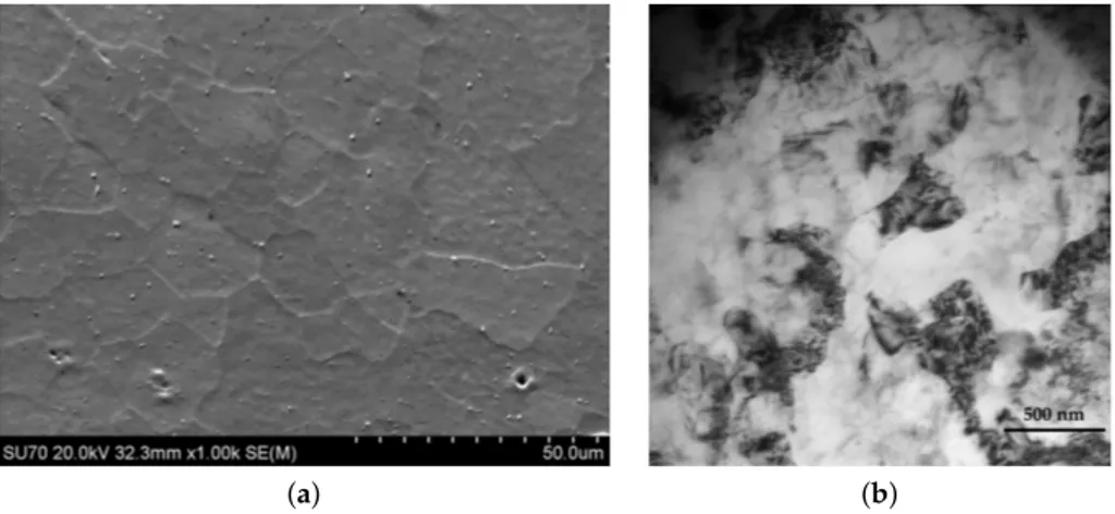 Figure 6. Grain size evolution through Asymmetric rolling (ASR): (a) initial grains of AA5182 before rolling observed by SEM (Scanning Electron Microscopy) and (b) new fine grains after ASR (85%
