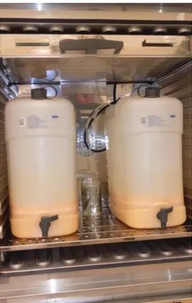 Figura 10: Depósitos de plástico utilizados na fermentação alcoólica 