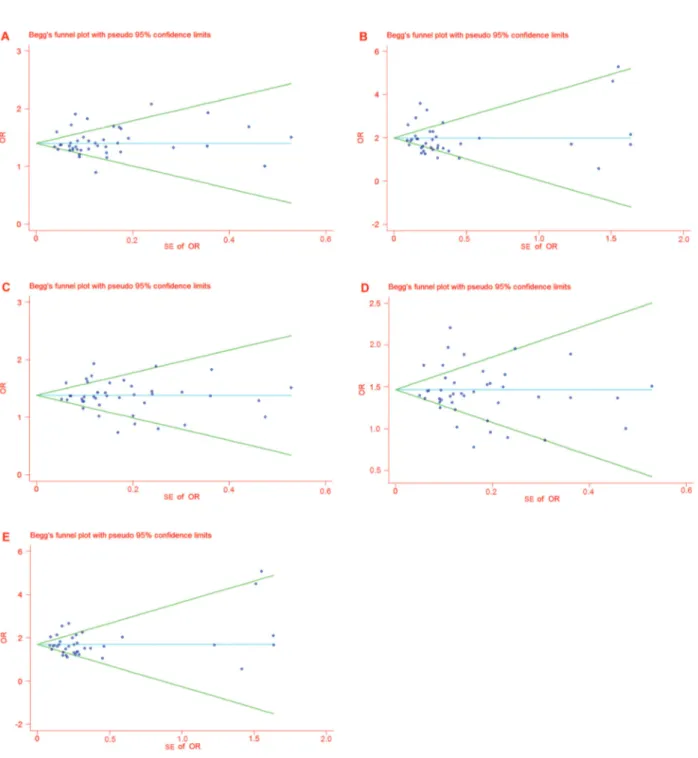 Figure 6. Funnel plot analyses for odds ratios. Panel A, Funnel plot analysis for odds ratios of allele T compared with allele G in the studies analyzed