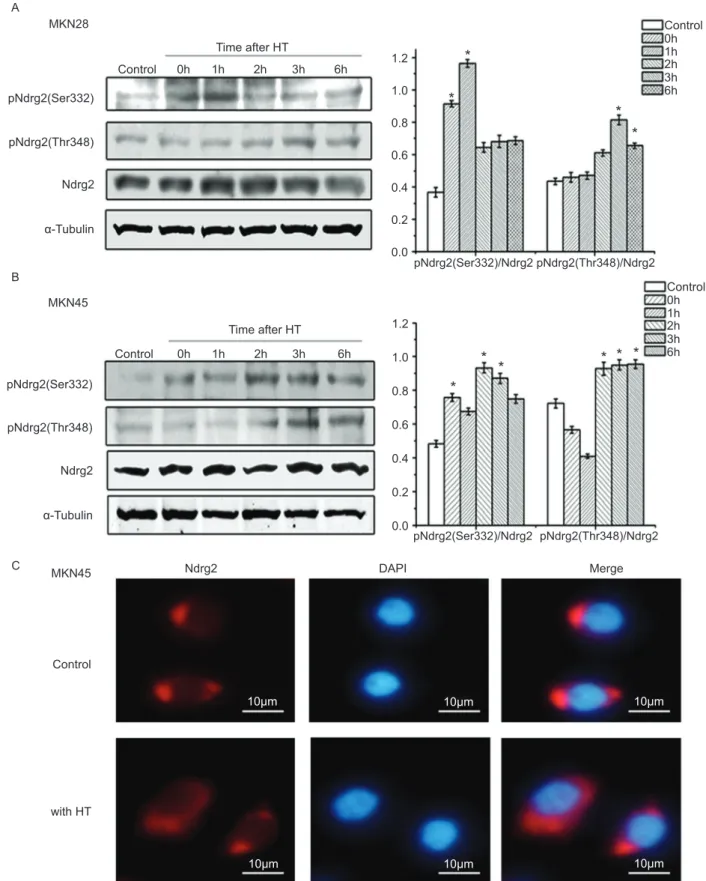 Figure 3. See legend on previous page.