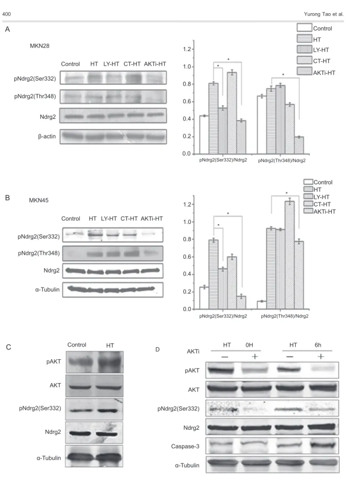 Figure 4. See legend on next page.