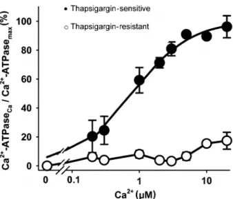 Figure 2. Inhibition of thapsigargin-sensitive Ca 2+ -ATPase activity by vanadate. The assays were performed in triplicate with 10 mM Ca 2+ and the results are reported as means ± SE for 4 experiments, using 3 different preparations
