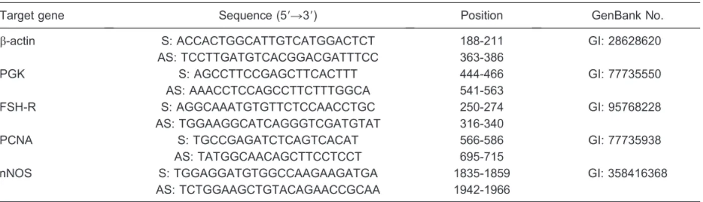 Table 1. Primer pairs used in real-time PCR for quantification of FSH-R, PCNA and nNOS in cultured caprine follicles with 10 mg/mL phytohemagglutinin.