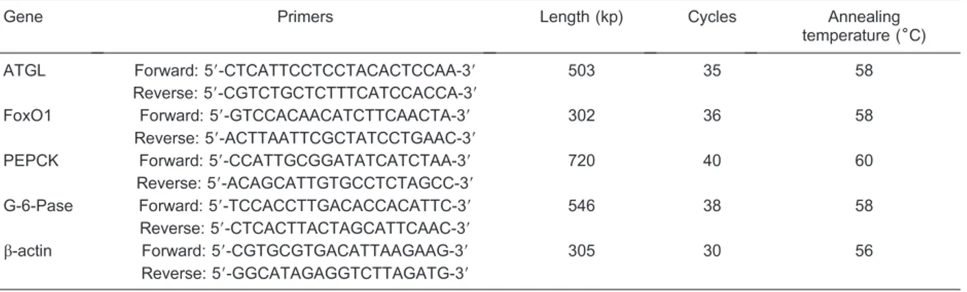 Table 2. Weight of fat at different sites, body weight and visceral fat/body weight ratio of rats.