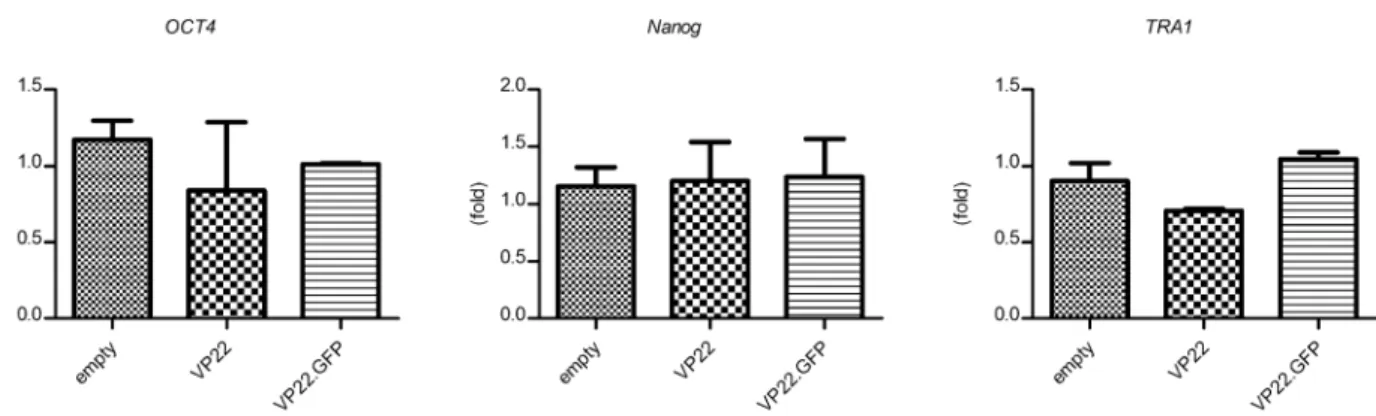 Figure 3. Detection of the mRNA expression level corresponding to the OCT4, Nanog, and TRA1 genes in hDPSCs by qRT-PCR.