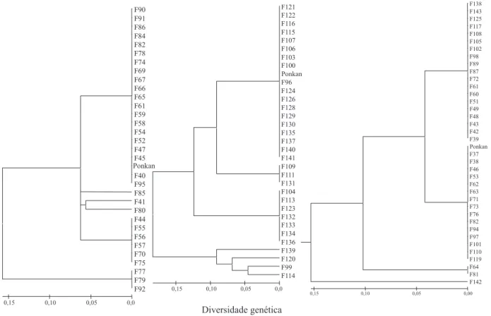 Figura 1. Dendrograma da genitora 'Ponkan' e da progênie F 1  oriunda da hibridação entre 'Ponkan' x 'Folha Murcha', a partir da análise de Parcimônia e da matriz de distância de Pairwise, baseado no padrão de agrupamento de  Neighbor-joining.