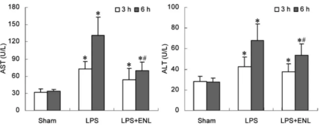 Figure 3. Effect of exogenous normal lymph (ENL) on inter- inter-cellular adhesion molecule-1 (ICAM-1) of hepatic homogenate in rats
