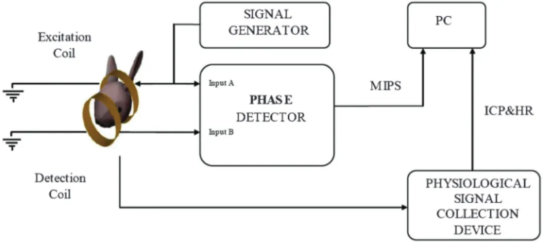 Figure 2. System block diagram of the magnetic induction phase shift (MIPS) detection method