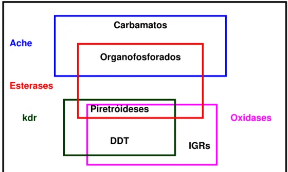 Figura 1. Relações de resistência cruzada entre as classes de inseticidas  comumente usadas para o controle de vetores  