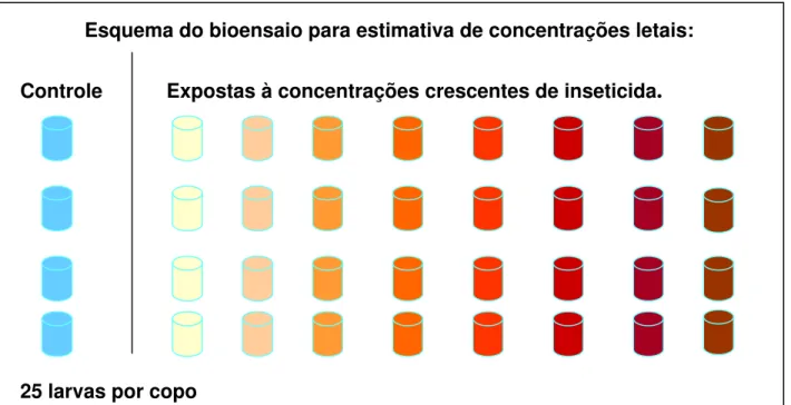 Figura 3. Ilustração do esquema de bioensaios para estimativa de concentrações  letais 