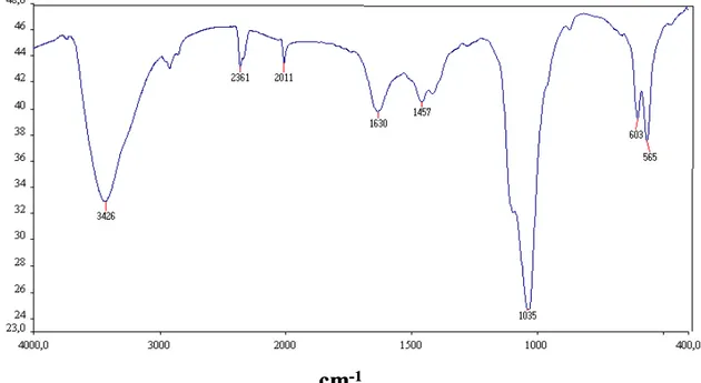 Figura 4.4: Espectro de FTIR do carvão de osso em pastilha de KBr 