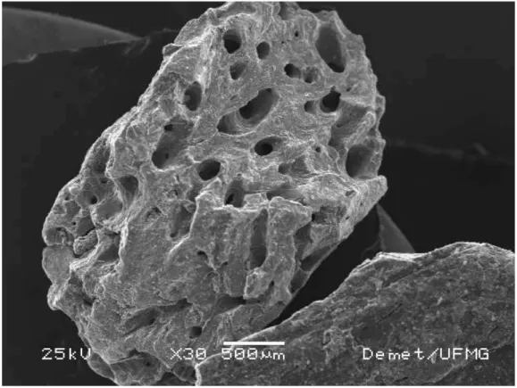 Figura 4.6: Microfotografia obtida por imagens de elétrons retroespalhados com  aumento de 30 vezes do carvão de osso granular mostrando detalhes de porosidade 