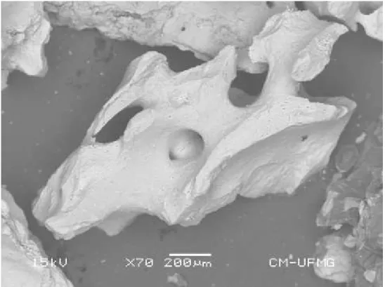 Figura 4.7: Microfotografia obtida por imagens de elétrons retroespalhados com  aumento de 70 vezes do carvão de osso granular mostrando detalhes de porosidade 