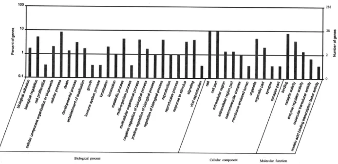 Table 3. Basic information of motif of H3K9me3 from patients with membranous nephropathy.