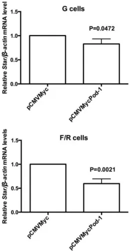 Figure 6. Quantitative reverse transcription PCR (qRT-PCR) analysis of relative Star/b-actin mRNA levels in primary rat adrenal glomerulosa cells (G cells) and fasciculata/reticularis cells (F/R cells) that had been transiently transfected with the pCMVMyc