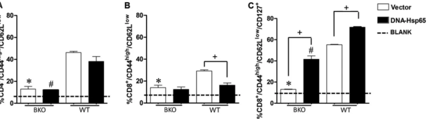 Figure 1. Percentage of CD4 + and CD8 + effector memory T cells (TEM) in the spleens of wild-type (WT) and B-cell knockout (BKO) mice 30 days after immunization