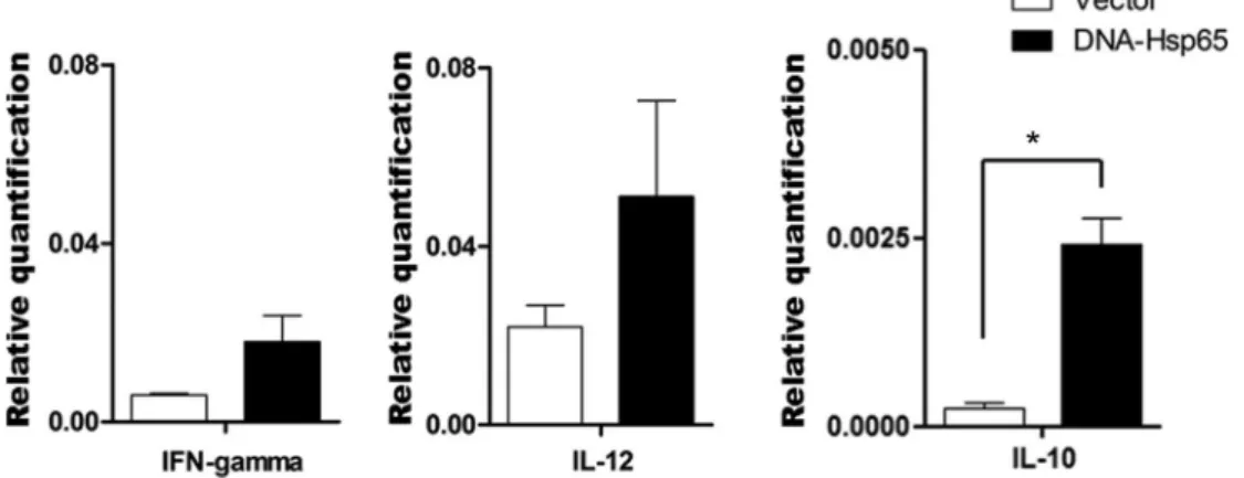 Figure 3. Relative expression of cytokine mRNAs in puri ﬁ ed B cells from wild-type (WT) mouse spleens 30 days after immunization