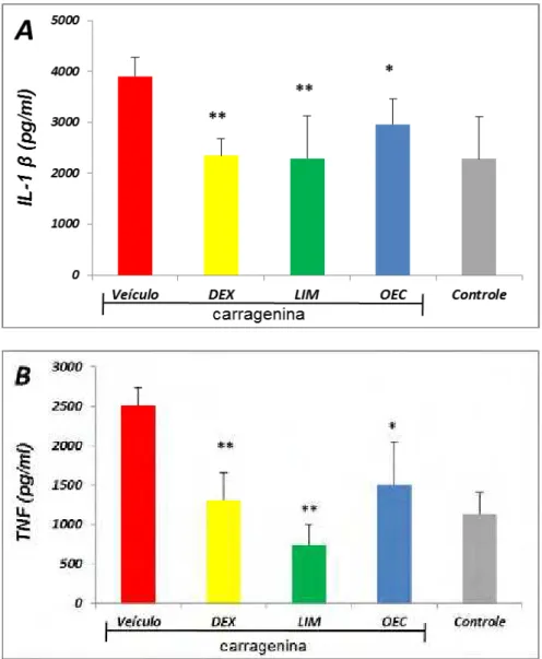 Figura 6: Quantificação dos níveis de IL-1β (gráfico A) e TNF (gráfico B)  na pata de ratos no modelo de edema de pata induzido por carragenina  em ratos 
