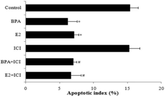 Figure 5. Apoptotic index of HepG2 cells treated with bisphenol A (BPA) or estradiol (E2) alone or in combination with the  anti-estrogen ICI 182,780 (ICI) for 48 h