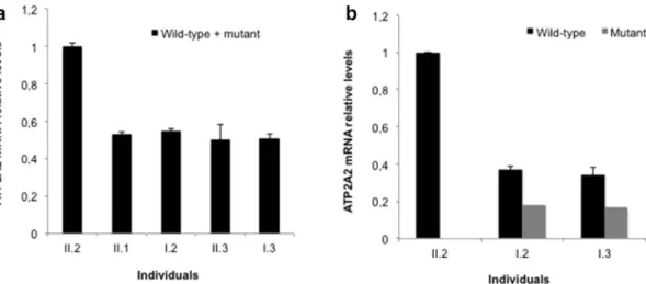 Fig. 5. SERCA2 expression was increasingly reduced in patients when compared with the unaffected relative and the presence of the putative truncated protein was not detected in Darier Disease patients