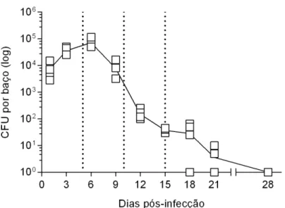 Figura 2. Cinética da infecção sistêmica. Os camundongos foram inoculados pela via i.p
