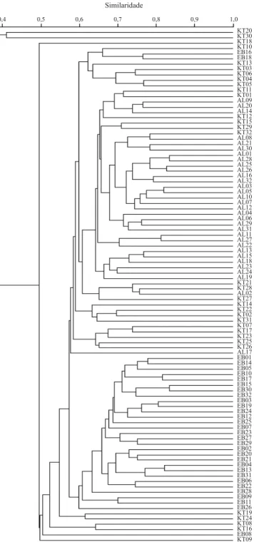 Figura 3. Dendrograma da similaridade genética, obtida entre os três estoques comerciais de Litopenaeus vannamei, definido pelo método de agrupamento UPGMA, com base nas similaridades genéticas de Jaccard calculadas a partir dos dados RAPD.