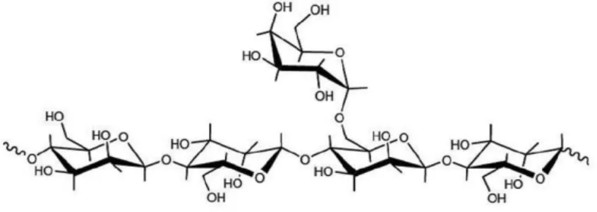 Figure 1.7 – Structure of locust bean gum (Dionísio and Grenha, 2012).