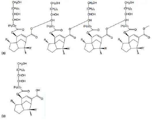 Figure 1.11 – Structure of shellac. (a) Polyesters; (b) single esters (adapted from Limmatvapirat et al., 2004)