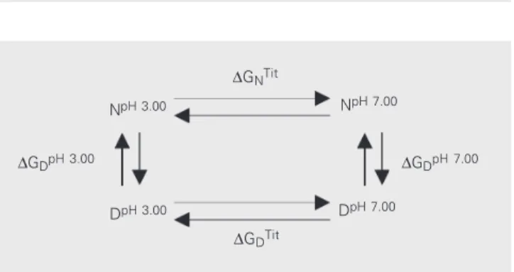 Figure 1. Thermodynamic cycle for ß-trypsin, where: ∆G D pH 3.00  = meas- meas-ured stability of the protein at pH 3.00; ∆G D pH 7.00  = calculated stability of the protein at pH 7.00; ∆G D Tit  = free energy change of titration of the denatured species fr