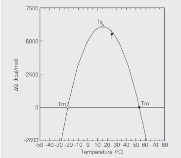Figure 6. Stability curve of ß-trypsin: ∆G D  as a function of temperature (ºC), at pH 3.00, where Tm is the heat denaturation temperature, Tm’ is the theoretical cold denaturation temperature and Ts is the temperature of maximum stability of the protein u