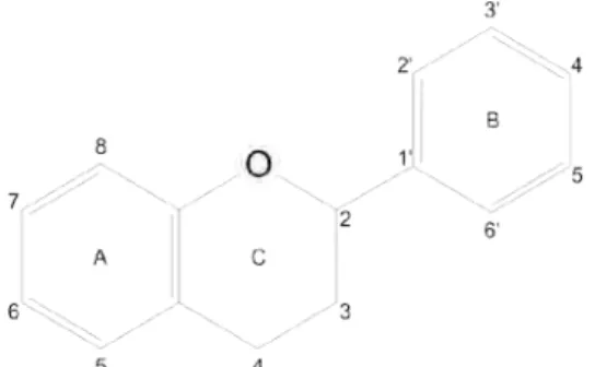 Figura 1: Estrutura básica dos flavonóides no padrão C6-C3-C6. A e B = anéis fenólicos; C = pirano