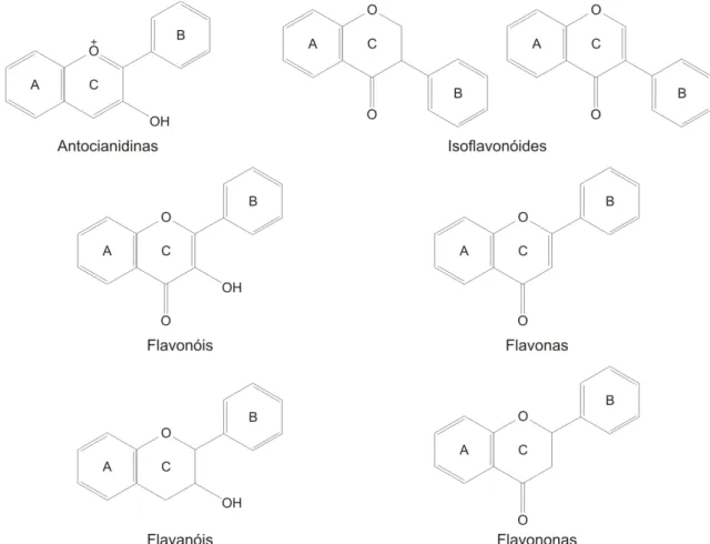 Figura 2: Estrutura das diferentes classes de flavonóides presentes na dieta humana. 