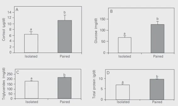 Figure 2. Plasma cortisol (A), glu- glu-cose (B), triglycerides (C) and  to-tal protein (D) observed in  domi-nant (Dom) and subordinate (Sub) Nile tilapia while isolated (Isol) and after pairing (Pair)