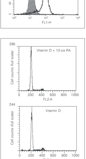 Figure 5. Effect of retinoic acid on vitamin D receptor (VDR)  pro-tein expression in HC11 cells.