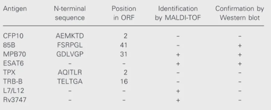 Table 2. Identification of Mycobacterium bovis in antigenic fractions.