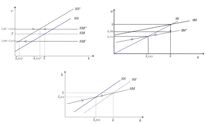 Figure 3: Permanent shock in the relative price kcSSSM'cSMkSS'SM''''''~())0~π(=cπ∞c)'~()'0~π(=cπ∞c)'~(π∞kk~π(∞)'' kaSSSMSM''ak)0~(aπ)~π(∞a)~π(∞kkbSSSMbkSS')~π(∞b)~π(∞k
