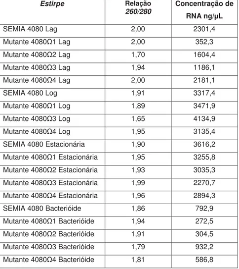 Tabela 3: Pureza (valor da relação 260/280) e concentração do RNA. 