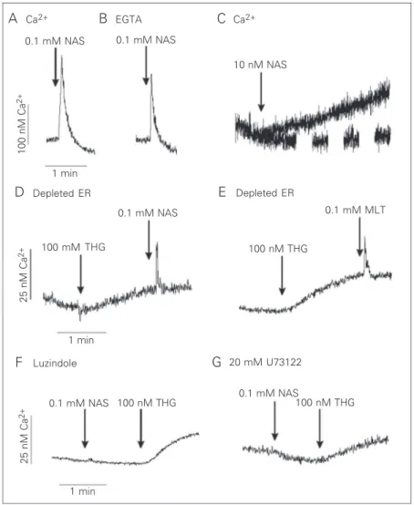 Figure 1A) while melatonin elicited 80 ± 5 nM (N = 3) (8). The agonists still mobilized Ca 2+  in the absence of extracellular Ca 2+