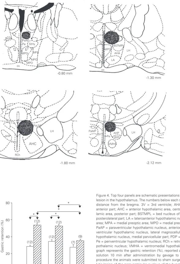 Figure 4. Top four panels are schematic presentations of the location of the electrolytic lesion in the hypothalamus