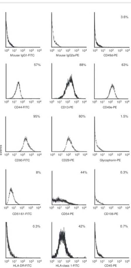 Figure 1. Flow  cytometry histograms show ing the immunophenotype of umbilical vein mesenchymal stem cells