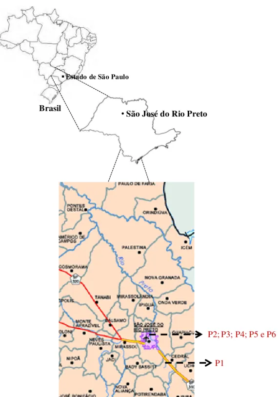 Figura 1: Localização da cidade de São José do Rio Preto/SP-Brasil (latitude  20° 55’ 59” S, longitude 49° 18’ 59” W) e dos pontos de coleta ao longo do rio  Preto