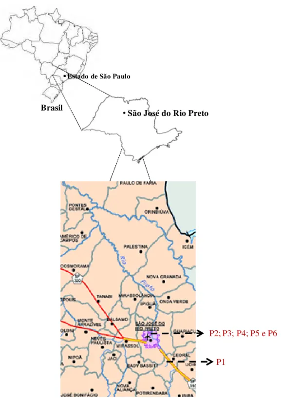 Figura 1: Localização da cidade de São José do Rio Preto/SP-Brasil (latitude  20° 55’ 59” S, longitude 49° 18’ 59” W) e dos pontos de coleta ao longo do  rio Preto