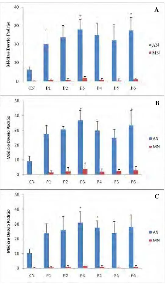 Figura 4: Médias e desvio padrão de micronúcleos (MN) e anormalidades  nucleares (AN) encontradas em eritrócitos de O