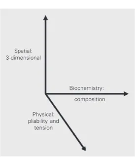 Figure 4. Summary of cellular re- re-sponses to the extracellular  ma-trix. The responses of cells to extracellular matrix differ  de-pending on its organization and the type of cell adhesion